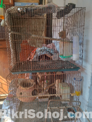 পাখির খাচা